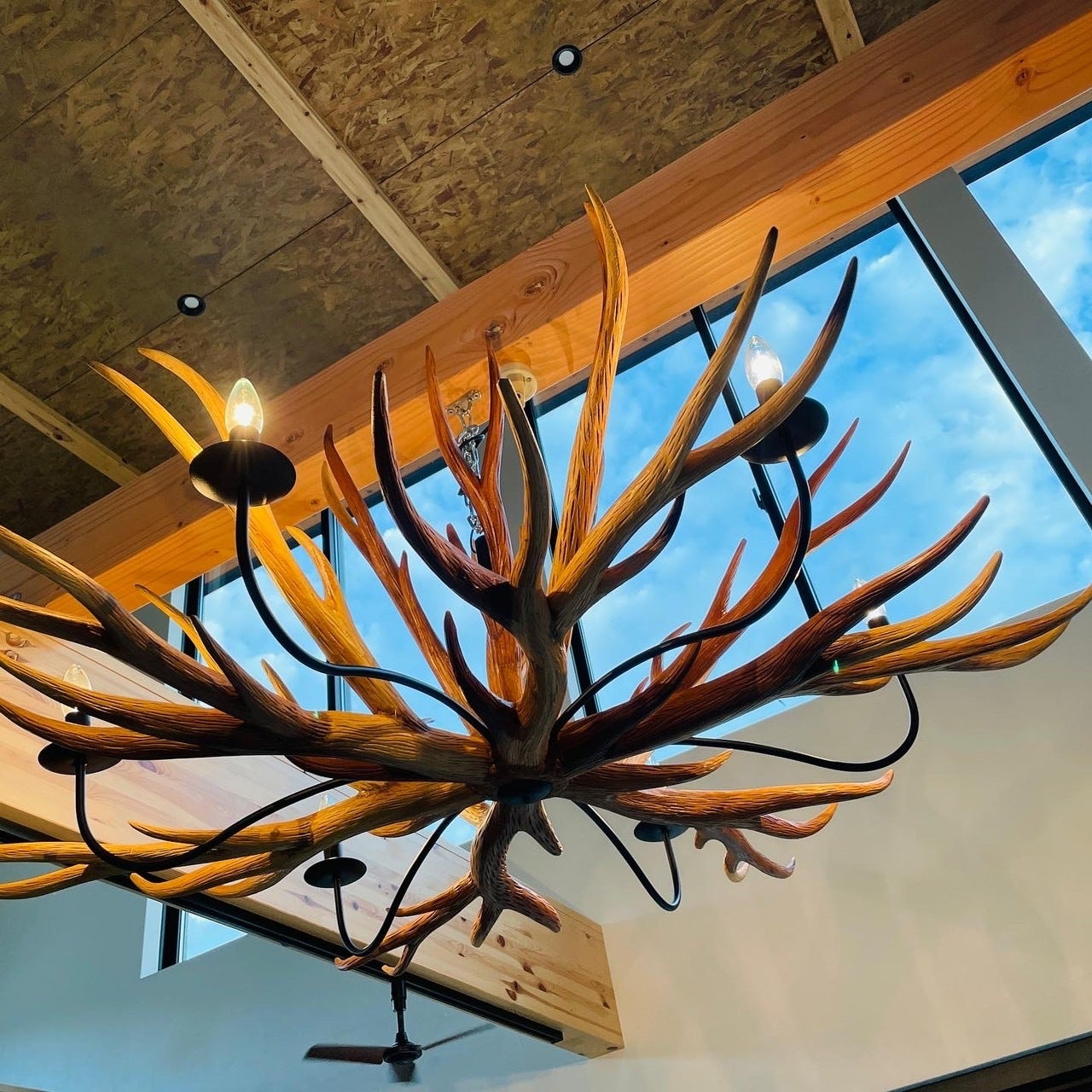 Deer Horn Chandelier Plants Baka Online Shop Deer Horn Chandelier Plants Baka Online Shop